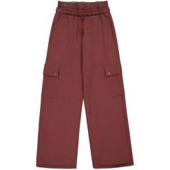 Spodnie Cargo Damskie. Fioletowe spodnie sportowe damskie Champion, bez wzorów, sportowe, trekkingowe. Za 359.99 zł.