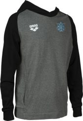 Arena Bluza sportowa z kapturem Arena Bishamon R.L. Bluzy sportowe męskie ARENA, l, bez wzorów, z kapturem. Za 279.99 zł.