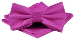 Mucha Męska w Zestawie z Poszetką - Alties - Kolor Różowy. Czerwone krawaty i muchy Alties, bez wzorów, eleganckie. Za 65.00 zł.