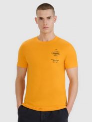 4F T-shirt regular z nadrukiem męski - pomarańczowy M. Brązowe t-shirty męskie 4F, m, bez wzorów, z bawełny, bez kołnierzyka, bez ramiączek. Za 69.99 zł.