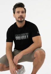 T-shirt z printem, Comfort Fit, T-SILVER. Szare t-shirty męskie Volcano, l, bez wzorów, z bawełny, bez kołnierzyka, bez ramiączek. Za 69.99 zł.