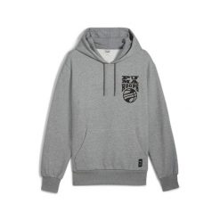Bluza Puma Hoops. Szare bluzy męskie Puma, bez wzorów, z kapturem, do koszykówki. W wyprzedaży za 132.50 zł.