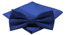 Mucha Męska z Poszetką w Zestawie - Alties - Niebieska, Drobny Wzór. Niebieskie krawaty i muchy Alties, bez wzorów, eleganckie. Za 54.00 zł.