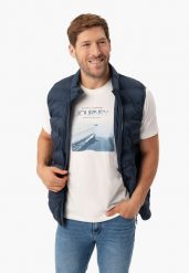 T-shirt z nadrukiem, Comfort Fit, T-SAIL. Zielone t-shirty męskie Volcano, l, bez wzorów, z bawełny, bez kołnierzyka, bez ramiączek. Za 69.99 zł.