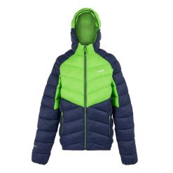 Męska Kurtka Ocieplana Z Kapturem Dalent. Niebieskie kurtki męskie Regatta, m, bez wzorów, z puchu, sportowe, z kapturem. Za 154.99 zł.