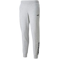 Spodnie damskie Puma Power Pants FL szare. Szare spodnie dresowe damskie Puma, bez wzorów, sportowe, długie. Za 181.35 zł.