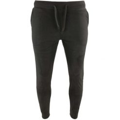 Męskie Spodnie Treningowe ATHL - EMISFERO Micro Antracyt M. Szare spodnie sportowe męskie ZOOPLEMENTS, m, bez wzorów, z polaru, do biegania. Za 164.99 zł.