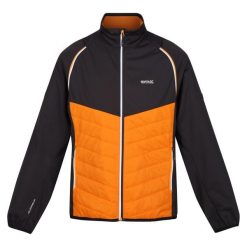 Kurtka Męska Steren Hybrid Soft Shell. Brązowe kurtki męskie Regatta, m, bez wzorów, z softshellu, bez kaptura, trekkingowe. Za 135.99 zł.