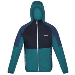 Kurtka Softshell Regatta dla Mężczyzn - Komfort i Ochrona. Fioletowe kurtki męskie Regatta, m, bez wzorów, z softshellu, bez kaptura, trekkingowe. Za 237.99 zł.