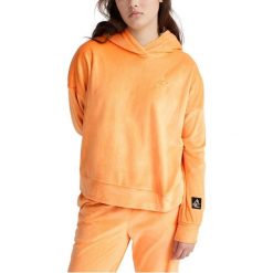 Sweter polarowy damski O'Neill Velour Fleece. Brązowe swetry nierozpinane damskie O'Neill, xs, bez wzorów, z polaru, sportowe, bez kołnierzyka, bez ramiączek. Za 427.00 zł.