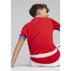 Adidas Koszulka damska adidas Loungwear Essentials Slim Logo Tee różowa GL0771 S. Czerwone bluzki damskie Adidas, s, bez wzorów, bez kołnierzyka, bez ramiączek. Za 96.55 zł.