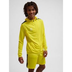 Poliestrowa bluza dresowa z kapturem i zamkiem błyskawicznym Hummel Authentic. Żółte bluzy męskie Hummel, bez wzorów, z dresówki, sportowe, bez ramiączek, z kapturem. W wyprzedaży za 234.50 zł.
