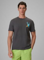 4F T-shirt regular z nadrukiem męski - szary L. Szare t-shirty męskie 4F, l, bez wzorów, z bawełny, bez kołnierzyka, bez ramiączek. Za 69.99 zł.