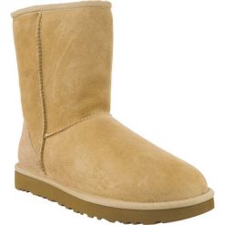 Ugg żółte Classic Short Ii Sand. Żółte śniegowce damskie UGG, ze skóry, bez zapięcia. W wyprzedaży za 699.00 zł.