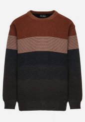 Brązowo-Granatowy Sweter z Wełną w Paski Ettarine. Brązowe swetry męskie Born2be, na zimę, m, bez wzorów, z wełny, bez kołnierzyka, bez ramiączek. Za 89.99 zł.
