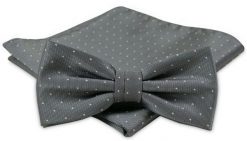 Modna Mucha Męska - Alties - Popiel w Groszki. Szare krawaty i muchy Alties, bez wzorów, eleganckie. Za 54.00 zł.