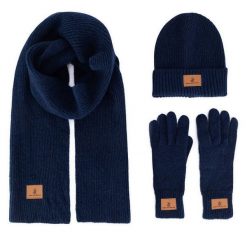 Zestaw czapka, szalik i rękawiczki Beverly Hills Polo Club. Niebieskie rękawiczki męskie Beverly Hills Polo Club, na zimę, bez wzorów. Za 159.99 zł.