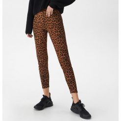 Legginsy w panterkę - Bordowy. Czerwone legginsy damskie House, bez wzorów. W wyprzedaży za 19.99 zł.