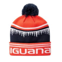 Czapka Unisex Dla Dorosłych Other. Brązowe czapki męskie IGUANA, bez wzorów. Za 75.99 zł.