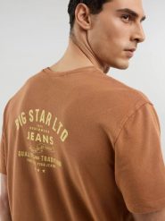Koszulka męska z nadrukiem na plecach brązowa Samuel 803. Brązowe t-shirty męskie BIG STAR, l, bez wzorów, z bawełny, bez kołnierzyka, bez ramiączek. W wyprzedaży za 29.99 zł.