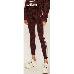 Adidas Originals - Legginsy. Fioletowe legginsy damskie adidas Originals, bez wzorów, z bawełny. Za 139.90 zł.