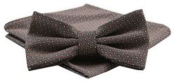 Mucha Męska Alties z Poszetką - Brązowa w Groszki. Brązowe krawaty i muchy Alties, bez wzorów, eleganckie. Za 54.00 zł.