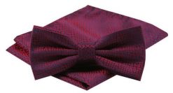 Mucha Męska z Poszetką w Zestawie - Alties - Ciemna Czerwień z Drobnym Wzorem. Czerwone krawaty i muchy Alties, bez wzorów, eleganckie. Za 54.00 zł.