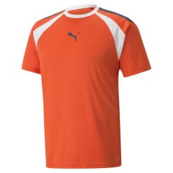 Koszulka sportowa męska Puma Teamliga. Brązowe koszulki sportowe męskie Puma, m, bez wzorów, z poliesteru, bez ramiączek, na fitness i siłownię. Za 229.00 zł.