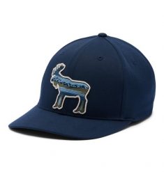 COLUMBIA Czapka z daszkiem Lost Lager 110 Snap Back colegiate navy. Niebieskie czapki damskie Columbia, na lato, bez wzorów, z elastanu, eleganckie. Za 73.40 zł.