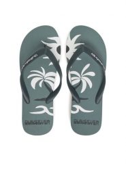 Quiksilver Japonki Molokai Screen AQYL101427 Zielony. Zielone buty sportowe męskie Quiksilver, bez wzorów, z tworzywa sztucznego, bez zapięcia. Za 69.99 zł.