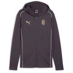Kurtka Z Kapturem Puma Acm Casuals Dorosłych. Szare kurtki sportowe męskie Puma, l, bez wzorów, z bawełny, z kapturem, do biegania. Za 171.95 zł.