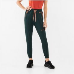 Spodnie dresowe Viking Hazen Bamboo Lady. Zielone spodnie dresowe damskie Viking, bez wzorów, z dresówki, sportowe. Za 249.90 zł.
