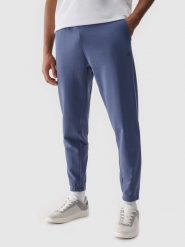 4F Spodnie dresowe joggery męskie - niebieskie XXL. Niebieskie spodnie materiałowe męskie 4F, l, bez wzorów, z bawełny. Za 149.99 zł.