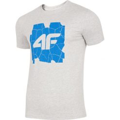 T-shirt męski TSM007 - chłodny jasny szary melanż. Szare t-shirty męskie 4F, m, bez wzorów, z bawełny, bez kołnierzyka, bez ramiączek. W wyprzedaży za 34.99 zł.