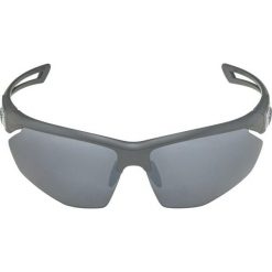 Okulary przeciwsłoneczne Męskie Alpina A8635332. Szare okulary przeciwsłoneczne damskie Alpina. Za 126.31 zł.