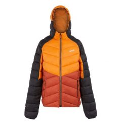 Męska Kurtka Ocieplana Z Kapturem Dalent. Brązowe kurtki męskie Regatta, m, bez wzorów, z puchu, sportowe, z kapturem. Za 176.99 zł.