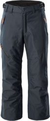 Icepeak Spodnie narciarskie męskie Colman, czarne, rozmiar 50. Czarne spodnie sportowe męskie Icepeak, m, bez wzorów, narciarskie. Za 403.96 zł.