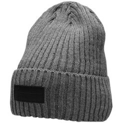 Czapka męska 4F średni. Szare czapki męskie 4F, na jesień, bez wzorów, z materiału. Za 47.99 zł.