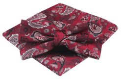 Mucha Męska z Poszetką - Alties - Czerwona, Wzór Paisley. Czerwone krawaty i muchy Alties, bez wzorów, eleganckie. Za 54.00 zł.