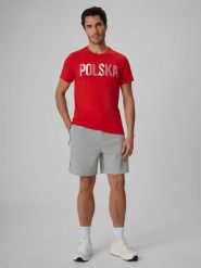 4F Spodenki kibica męskie - szare XXL. Szare szorty męskie 4F, bez wzorów, z dresówki. Za 149.99 zł.