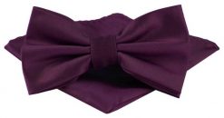 Mucha Męska w Zestawie z Poszetką - Alties - Burgundowa. Czerwone krawaty i muchy Alties, bez wzorów, eleganckie. Za 65.00 zł.