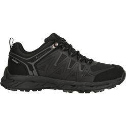 Buty trekkingowe Whistler Cardiff. Czarne obuwie trekkingowe damskie Whistler, z gumy, bez zapięcia. Za 344.50 zł.