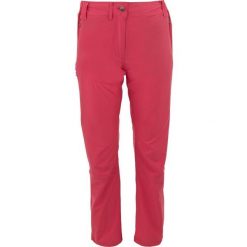 Nordblanc damskie spodnie outdoor różowe roz. 38. Czerwone spodnie dresowe damskie NORDICA, bez wzorów, sportowe, długie. Za 245.99 zł.