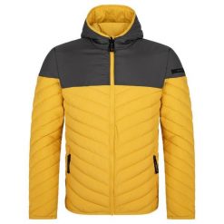 Kurtka Męska Jenda 3XL - Lekka i Oddychająca na Każdą Okazję. Żółte kurtki męskie ZSPORT, m, bez wzorów, sportowe, bez kaptura. Za 300.99 zł.