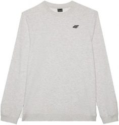 4f BLUZA SPOROTWA MĘSKA DRESOWA BAWEŁNIANA NA CO DZIEŃ. Bluzy męskie 4F, m, bez wzorów, z bawełny, bez ramiączek, bez kaptura. Za 99.00 zł.