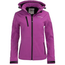 Damska kurtka softshell Spitsbergen 3-warstwowa — Fuksja. Czerwone kurtki sportowe damskie GLOMEX, bez wzorów, z softshellu, bez ramiączek, bez kaptura, trekkingowe. Za 319.99 zł.