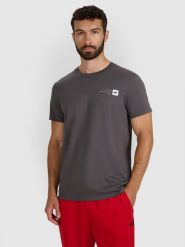 4F T-shirt regular z nadrukiem męski - szary 3XL. Szare t-shirty męskie 4F, m, bez wzorów, z bawełny, bez kołnierzyka, bez ramiączek. Za 49.99 zł.