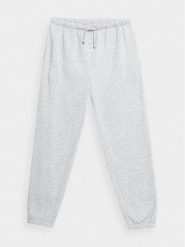 Outhorn Spodnie dresowe OTHAW23TTROM444 Szary Regular Fit. Szare spodnie sportowe męskie Outhorn, l, bez wzorów, z bawełny. Za 89.99 zł.