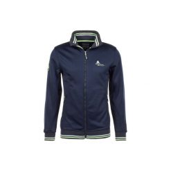 Bluza z polaru Shell Peak Mountain Creen. Niebieskie bluzy męskie Peak Mountain, na zimę, bez wzorów, z polaru, sportowe, bez ramiączek, bez kaptura. W wyprzedaży za 276.50 zł.