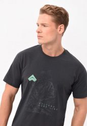 Bawełniany t-shirt, Comfort Fit, T-LITT. Szare t-shirty męskie Volcano, l, bez wzorów, z bawełny, bez kołnierzyka, bez ramiączek. Za 69.99 zł.